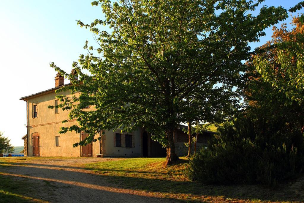 Tenuta Di Corbara Corbara  Bilik gambar