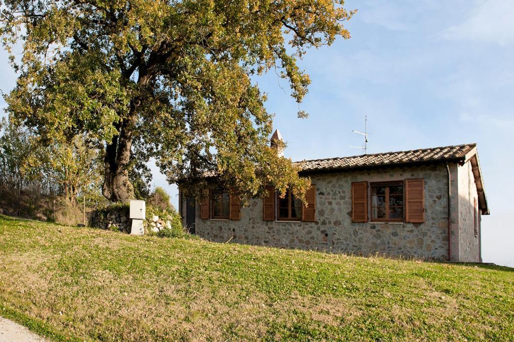Tenuta Di Corbara Corbara  Luaran gambar